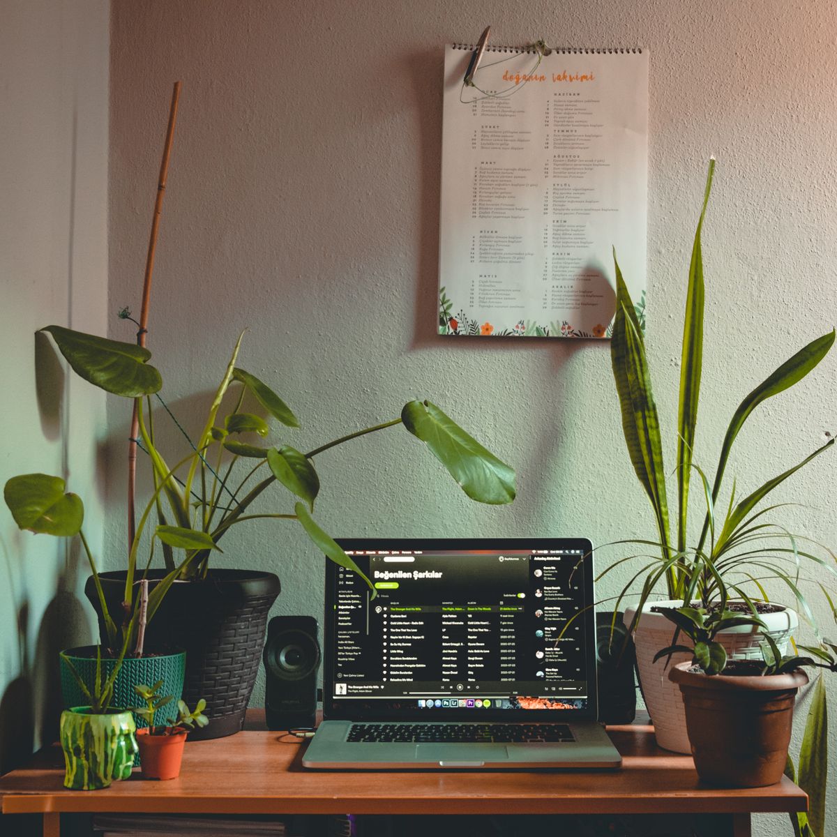 HIPAA compliant contact form setup on a laptop at a calm therapy office desk